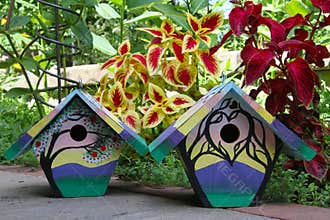Two Hand-Painted House wren Nest Boxes in the Summer Garden