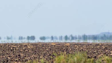 Mirage above farmland in scorching heat