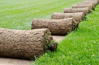 Grass rolls