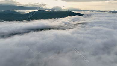 Sea of fog cover tropical forest in morningMist on tropical .
