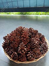 natural blooming dried pine flowers