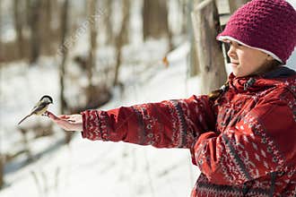 Girl feeding a bird
