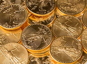 Collection of one ounce gold coins