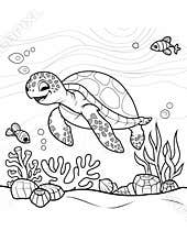 coloring book for kids sea turtle swimming in water