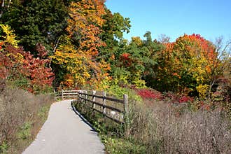 Fall color on Chorley Park to Beltline Trail, Toronto, Ontario