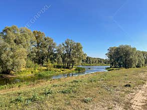 very beautiful bank of the Berezina river in summer