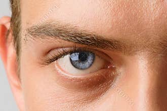 The eye
