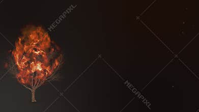 Burning Bush Presence of God Meeting with Moses Presentation Background 3D Illustration [45sec 60fps Looping Video]