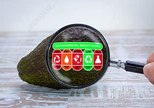 Magnified environmental impact rating on avocado scoring