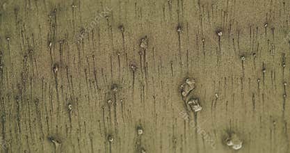 sand texture background particles flow beige grain