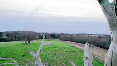 Flying through a dead tree in countryside