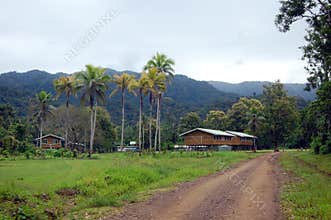 Village in Papua New Guinea