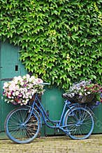 Bicycle with flowers