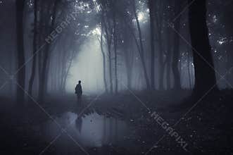 Man in a forest with pond and fog after rain