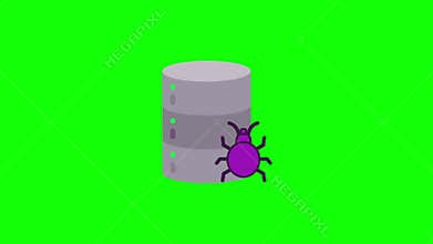 bug datum database icon, protect virus . loop animation with alpha channel