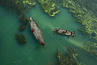 Story of algae river in Bangladesh