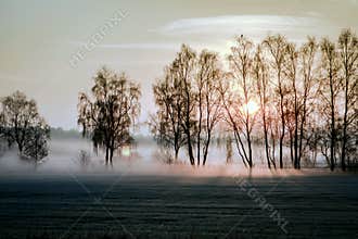 Night frost and fog over the fields.