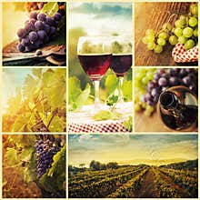 Country wine collage