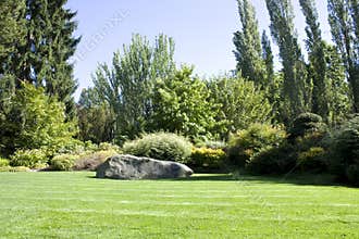 Beautiful yard with lush greenery