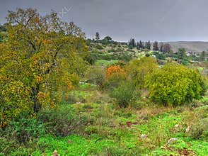 Landscape in the Biblical Museum of Natural History near Jerusalem Israel