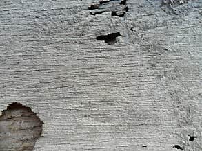 Hi-resolution grunge wood texture image