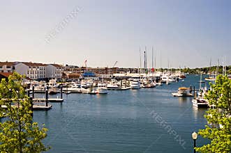 Newport Harbor