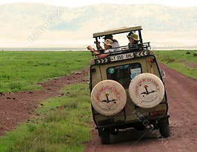 Tourists at a safari