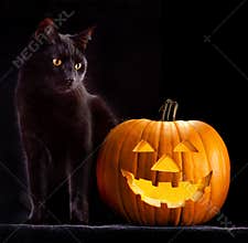Halloween pumpkin head and black cat