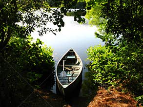 Afternoon fishing trip