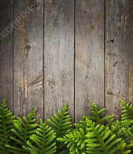 Christmas Tree Wood Background
