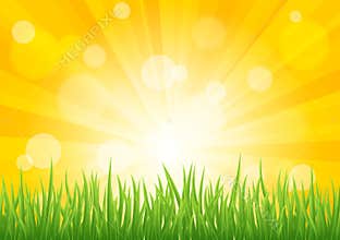 Bright vector sun effect with green grass field