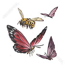 Set insect butterfly with wings, bee isolated on white background. Watercolor hand draw realistic llustration for design