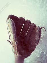 Baseball glove vertical