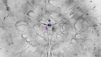 Droid Ascension in fantastic space