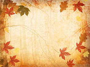 Fall Leaves Background