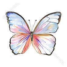 Blue watercolor butterfly isolated on the white background. Vector