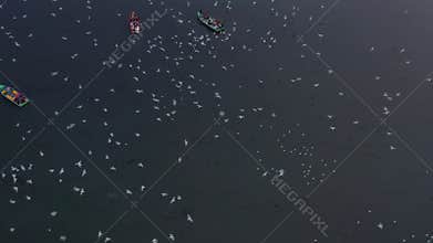 Aerial video of people feeding birds on a fishing boat along the Yamuna river in New Delhi, India.