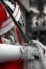 Royal Horse Guard, London