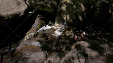 4K sunny view of Burbage Brook flowing gently around mossy rocks in Padley Gorge, Derbyshire, UK