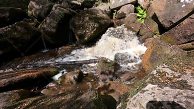 Burbage Brook rushes over boulders and ferns in Padley Gorge, Derbyshire, UK by lush forest, in 4K