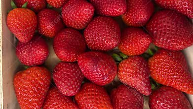Ripe strawberries arranged in wooden crate