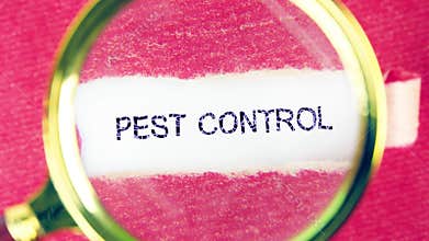 Animating the conceptual text of PEST CONTROL. Conceptual caption Pest Control.
