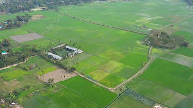 Rural landscape panorama with aerial view of green farm paddy fields, meadows, and a village under a summer sky