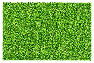 Green grass field background. Texture of green lawn grass. Green grass seamless texture