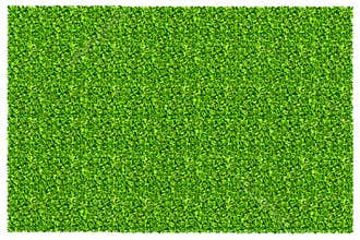Green grass field background. Texture of green lawn grass. Green grass seamless texture