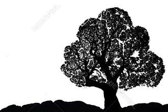 Tree silhouette.