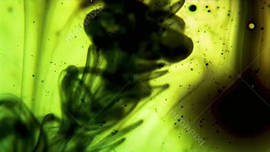Abstract Green Ink Swirls: Dynamic Fluid Art Macro