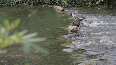 Water stream in the river flowing through stone.
