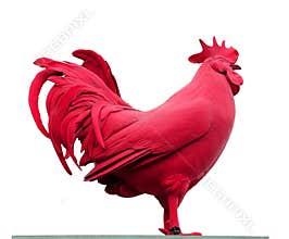 Red rooster or