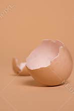 Broken brown chicken eggshell, source of calcium